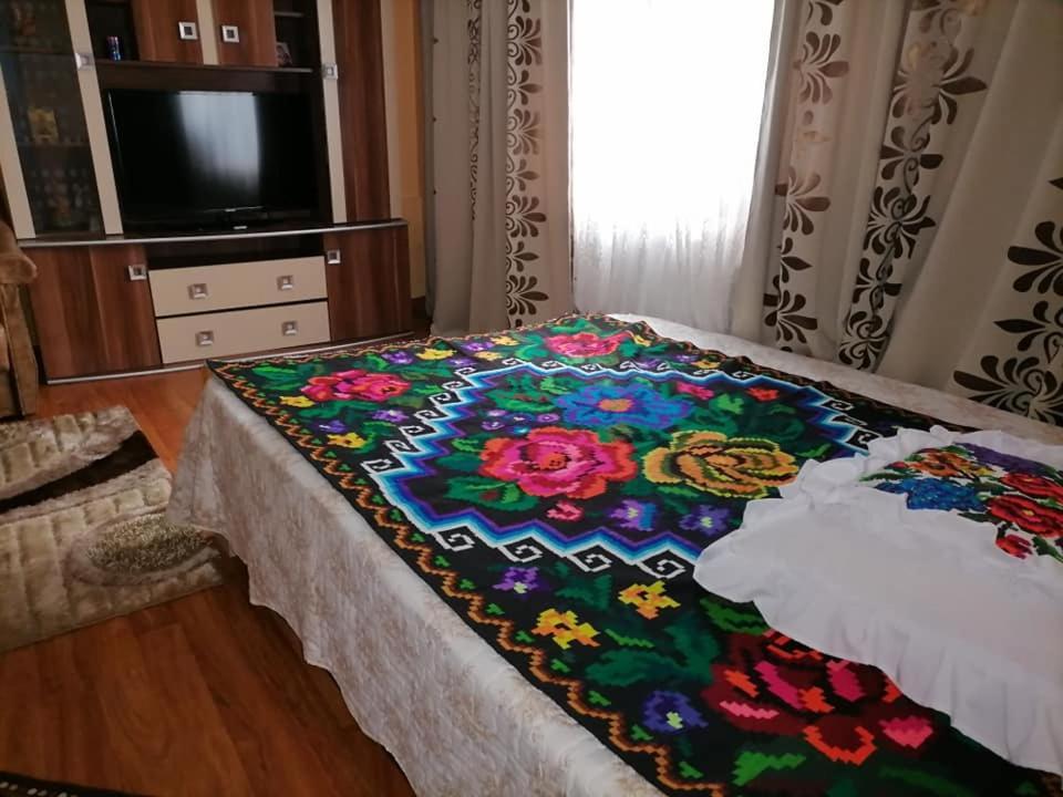 Pensiunea Brezu Sighetu Marmaţiei 외부 사진