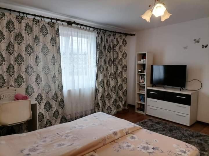 Pensiunea Brezu Sighetu Marmaţiei 외부 사진