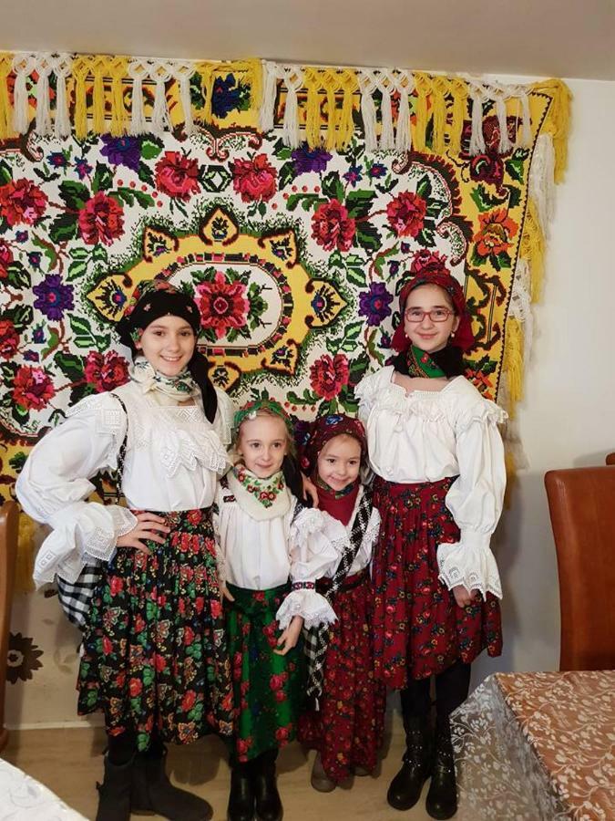 Pensiunea Brezu Sighetu Marmaţiei 외부 사진